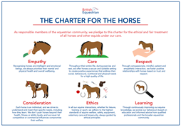 The charter for the horse